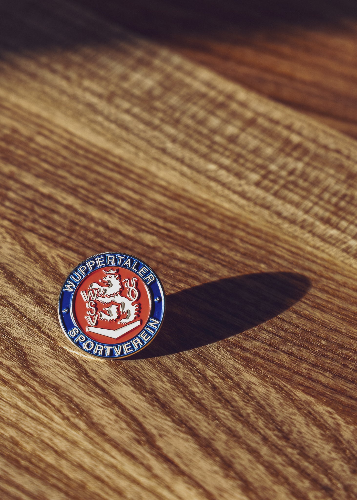 Pin Logo